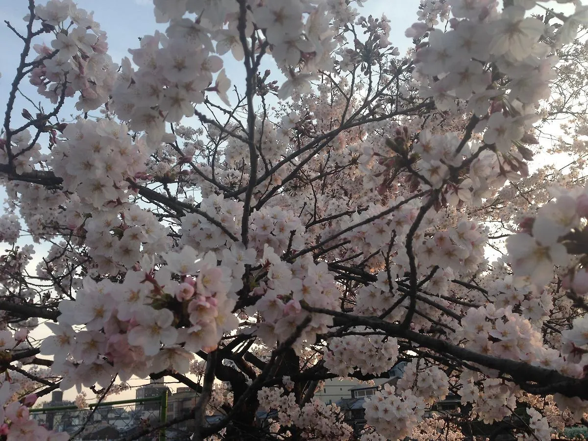 Heian House Kyoto酒店 日本
